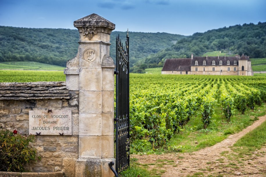 The Pinot Noirs and Chardonnays of Burgundy are among the world's greatest wines