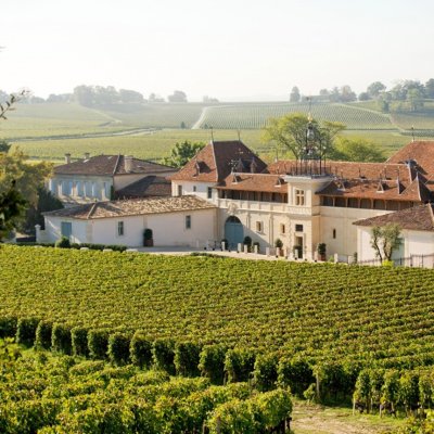 The Château Angélus estate is planted to 50% Merlot, 47% Cabernet Franc and 3% Cabernet Sauvignon, and full conversion to completely organic farming began in 2018.