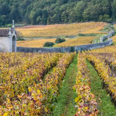 Domaine Armand Rousseau has been a family owned winery for four generations