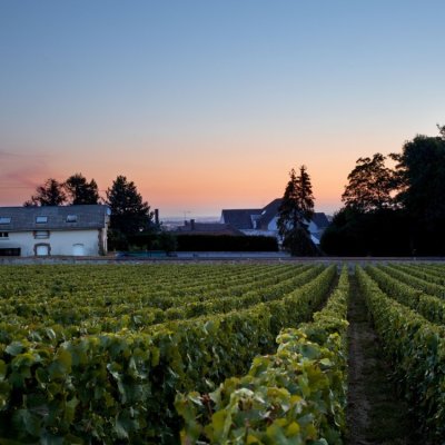 Krug offers a range of single vineyard wines