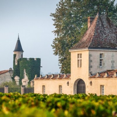 The vineyards of Château Rauzan-Ségla are planted to 62% Cabernet Sauvignon, 36% Merlot and 1% each of Cabernet Franc and Petit Verdot