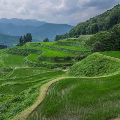 The terraced paddy fields at Keigetsu